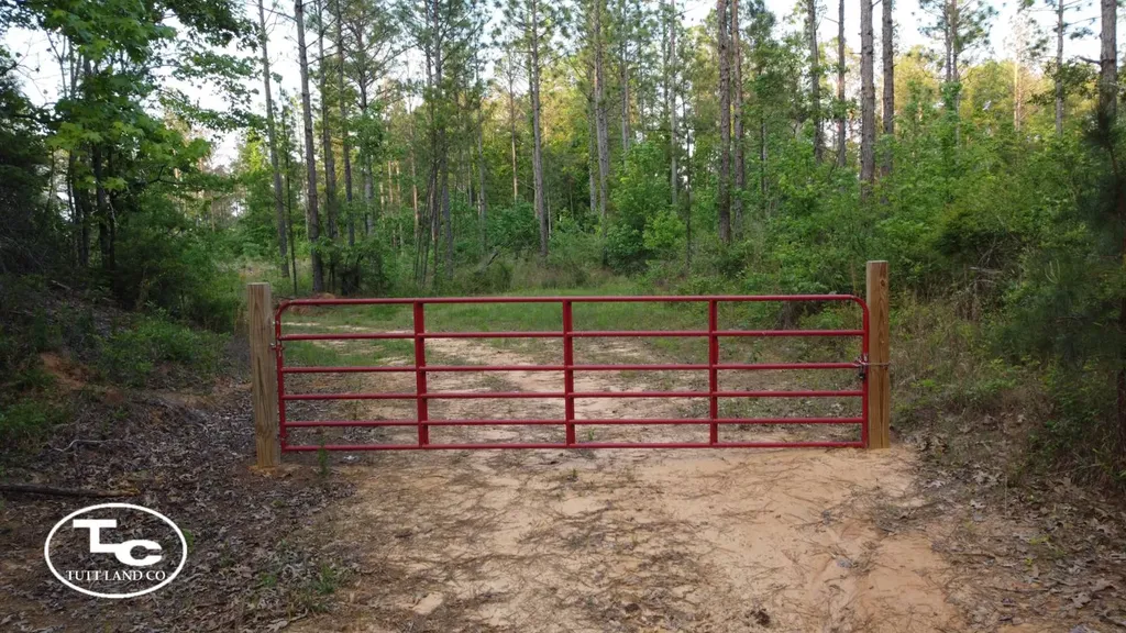 Tbd Bb Bragg Road York AL 36925