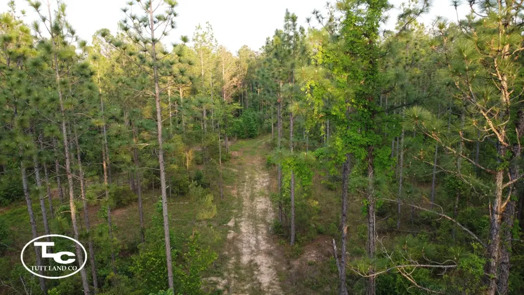 Tbd Bb Bragg Road York AL 36925