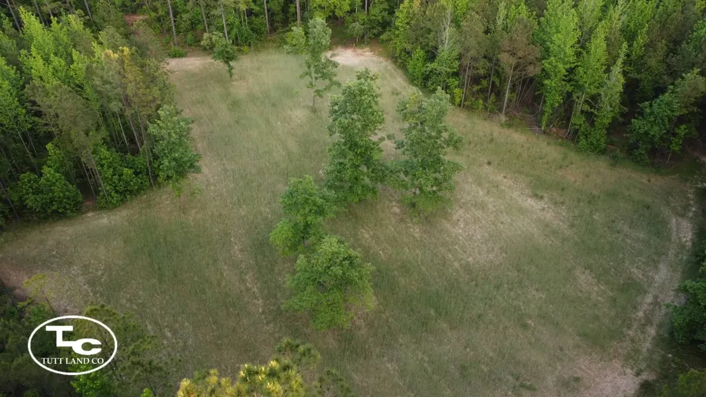 Tbd Bb Bragg Road York AL 36925