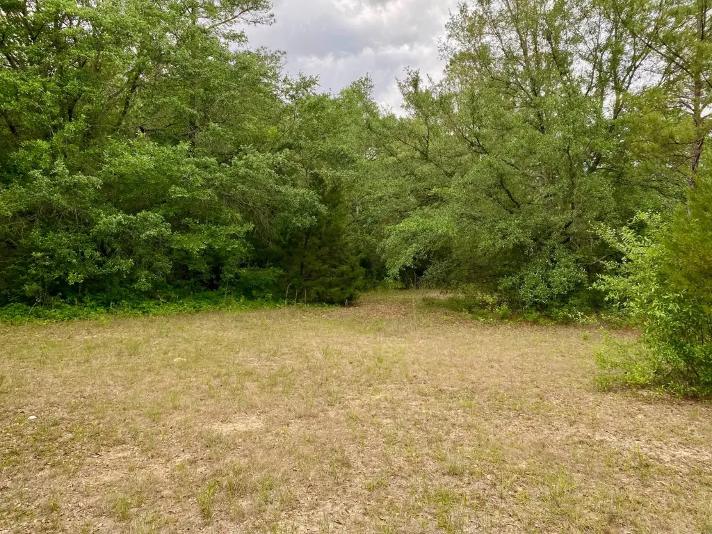 3+/- Acres Grove Road Hartford AL 36344