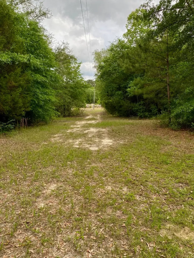 3+/- Acres Grove Road Hartford AL 36344