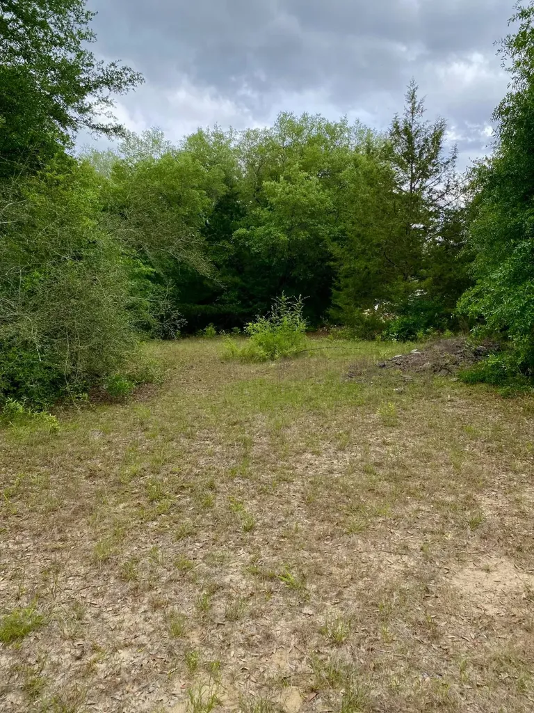 3+/- Acres Grove Road Hartford AL 36344