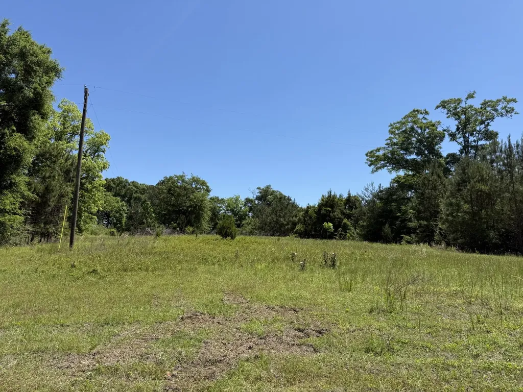 0 County Road 222 Abbeville AL 36310