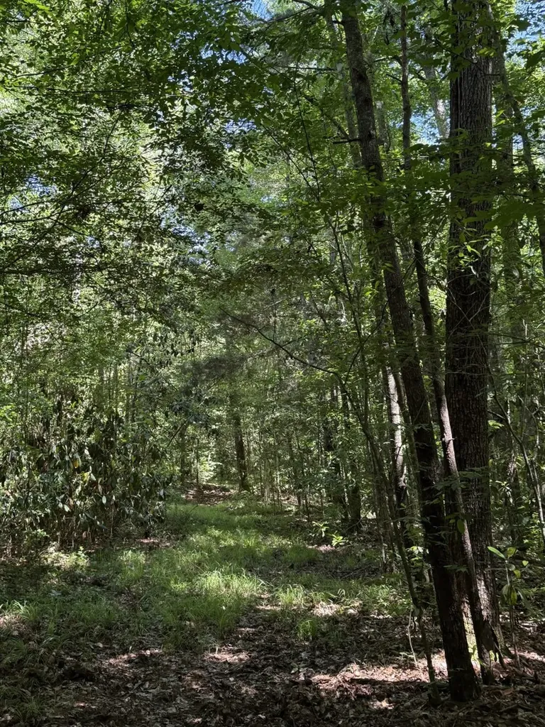 0 County Road 222 Abbeville AL 36310