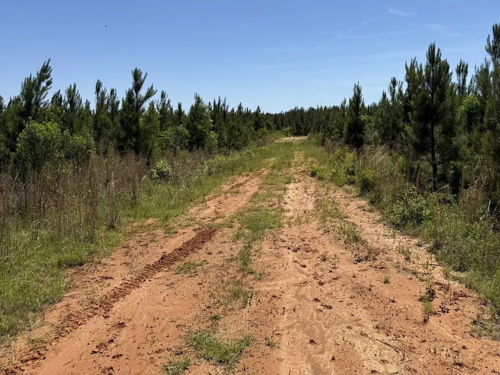 0 County Road 222 Abbeville AL 36310