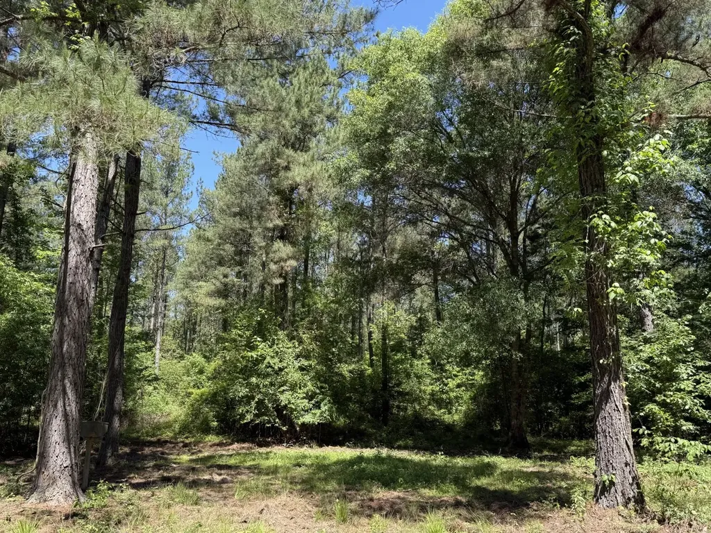 0 County Road 222 Abbeville AL 36310