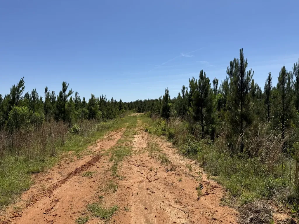 0 County Road 222 Abbeville AL 36310