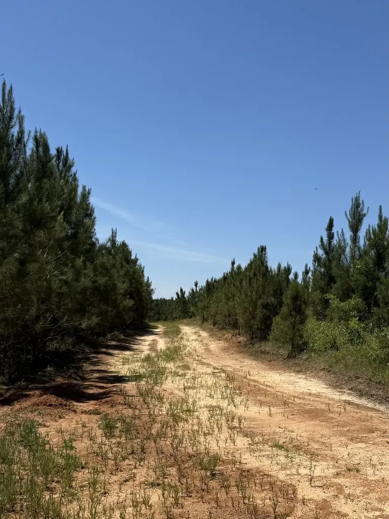 0 County Road 222 Abbeville AL 36310
