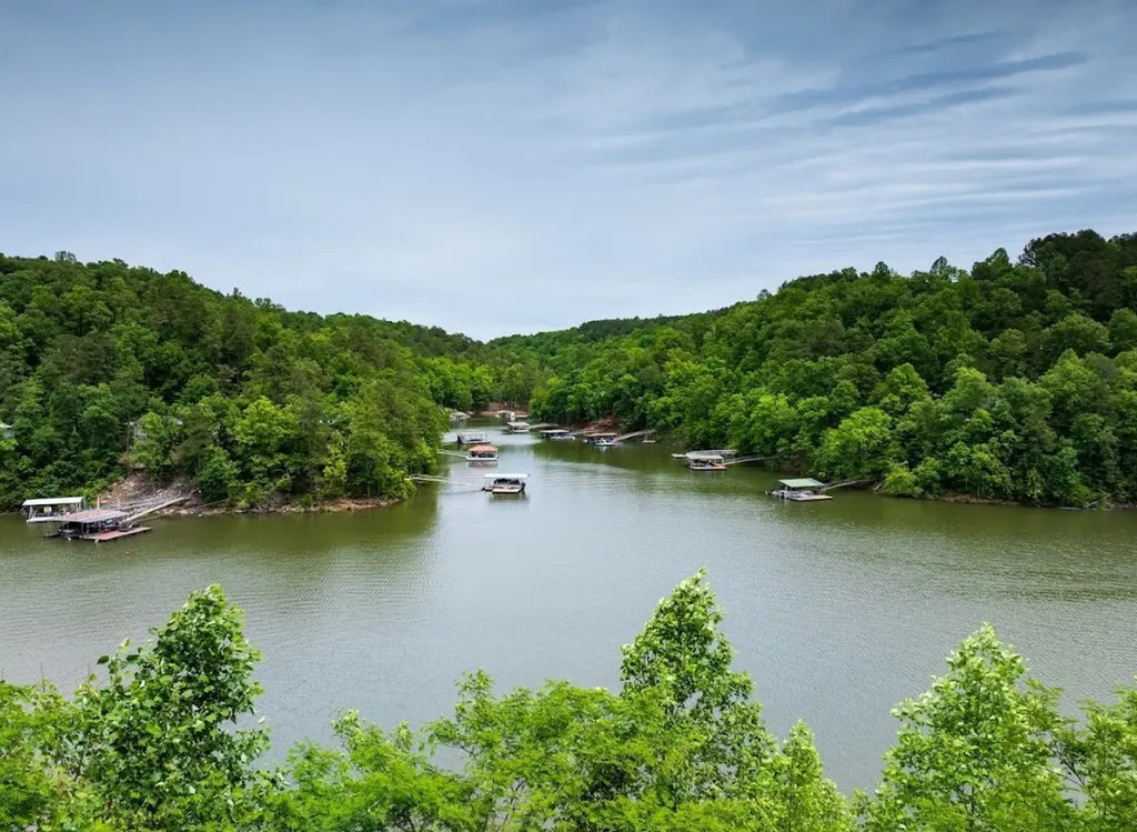 0 Lakeside Drive Arley AL 35541