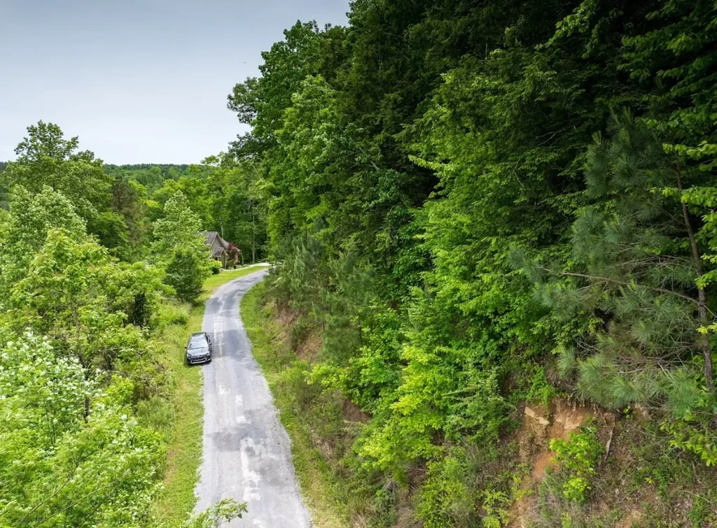 0 Lakeside Drive Arley AL 35541