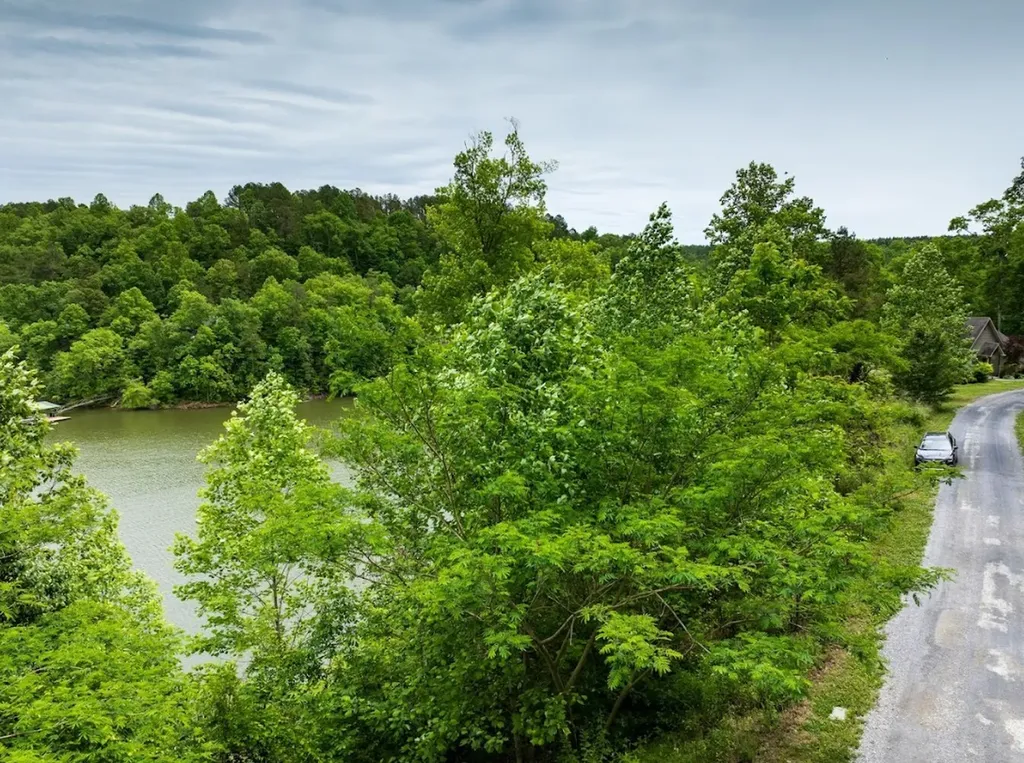 0 Lakeside Drive Arley AL 35541