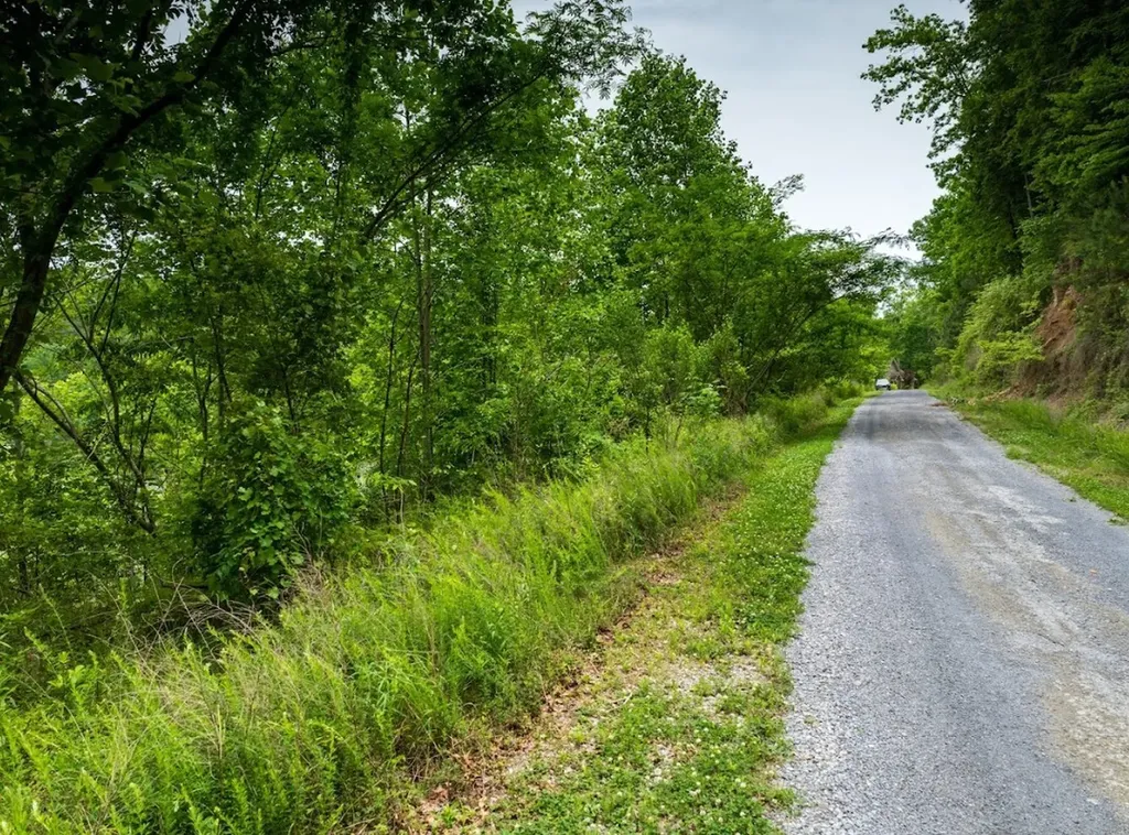 0 Lakeside Drive Arley AL 35541