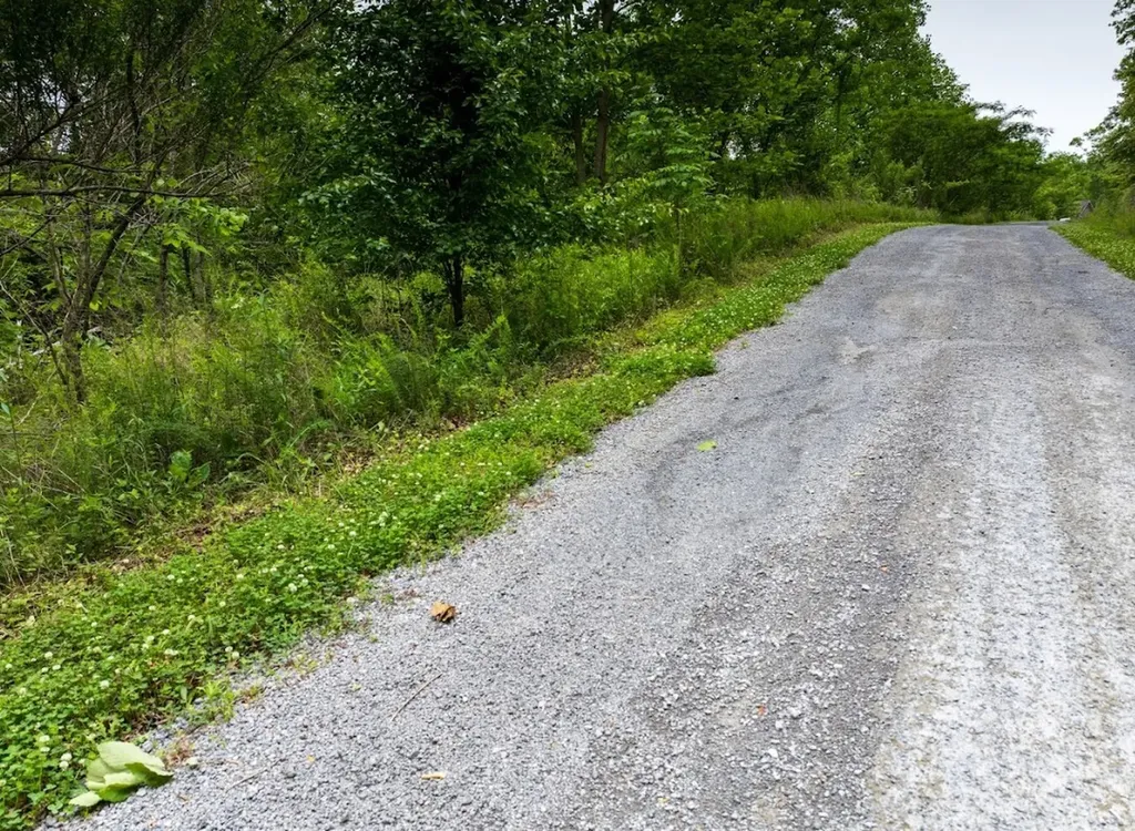 0 Lakeside Drive Arley AL 35541