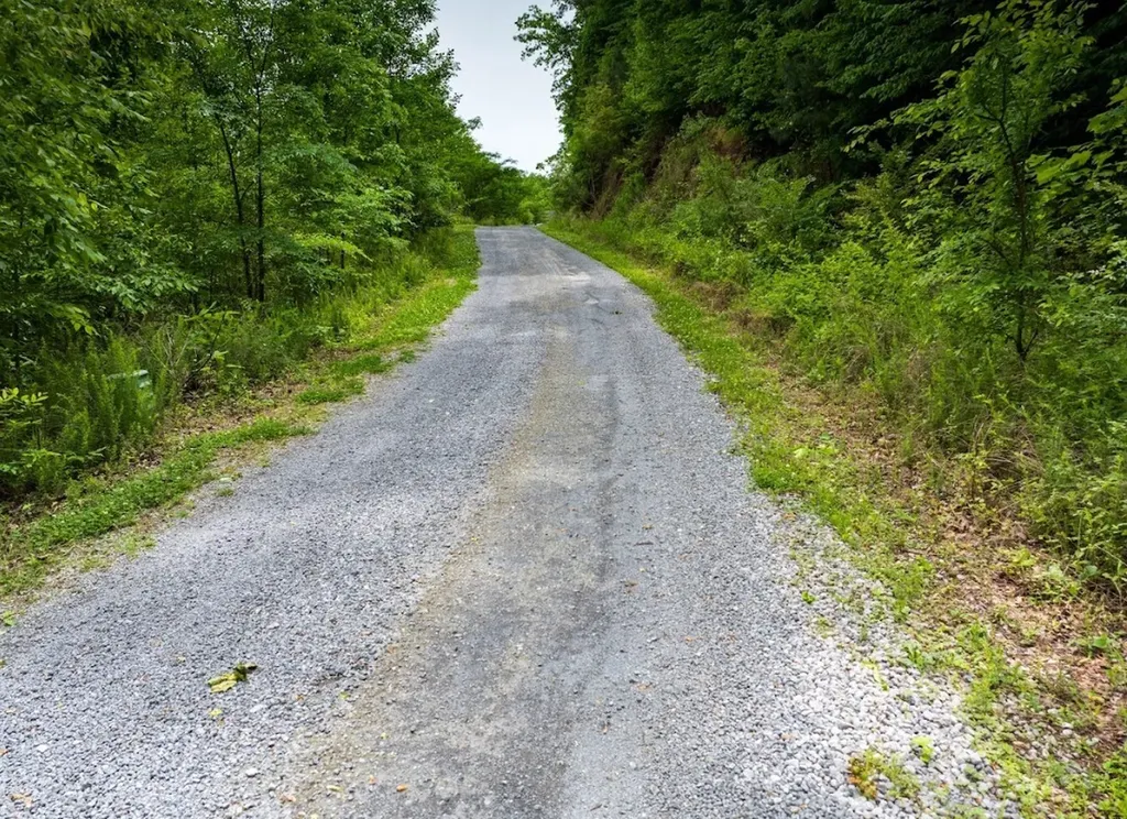 0 Lakeside Drive Arley AL 35541