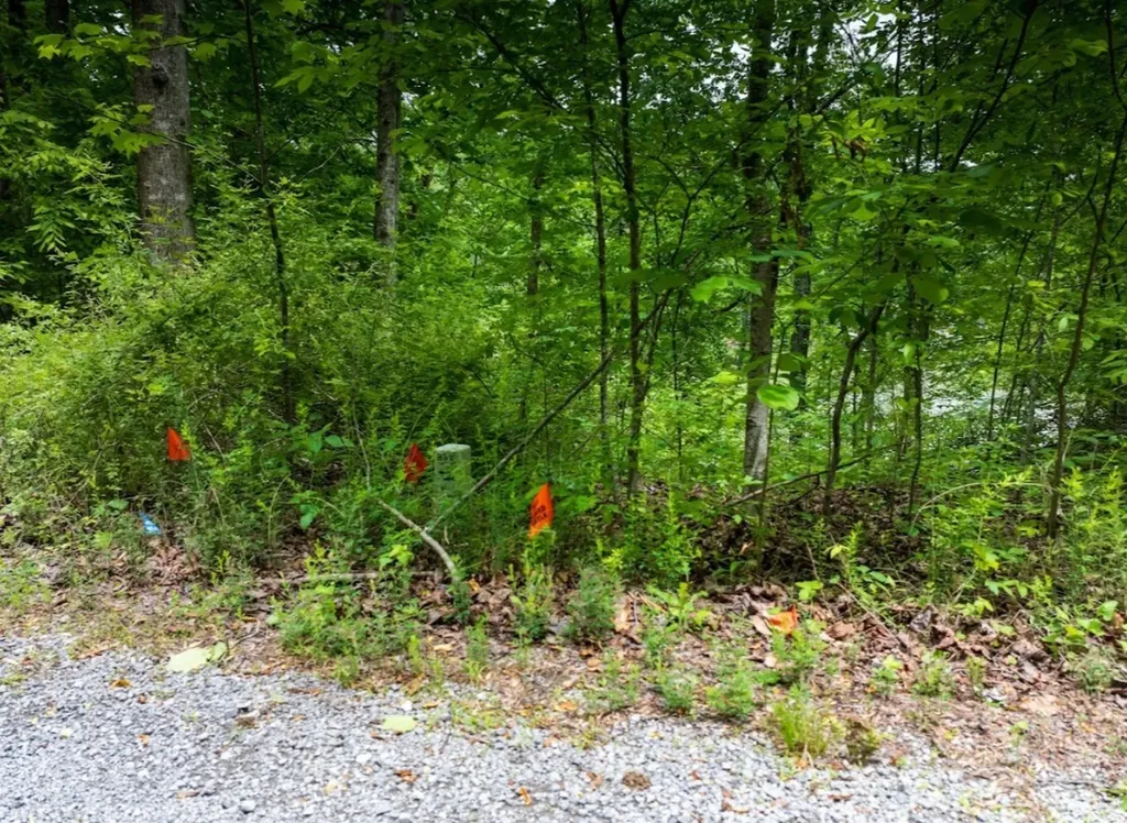 0 Lakeside Drive Arley AL 35541