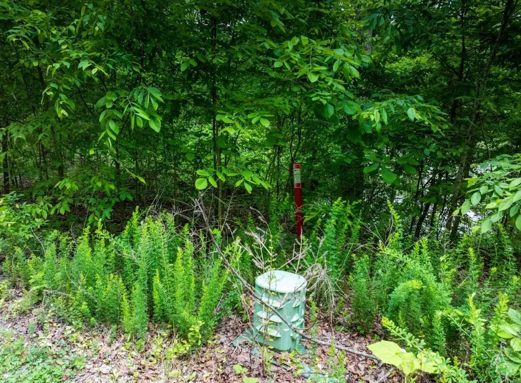 0 Lakeside Drive Arley AL 35541