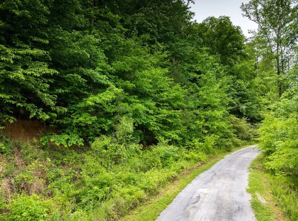 0 Lakeside Drive Arley AL 35541