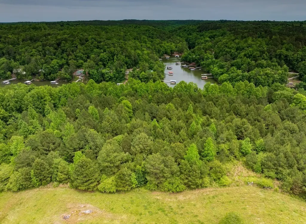 0 Lakeside Drive Arley AL 35541