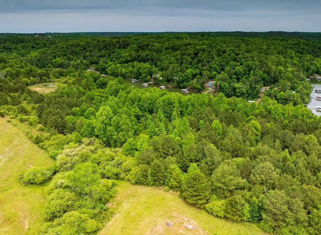 0 Lakeside Drive Arley AL 35541