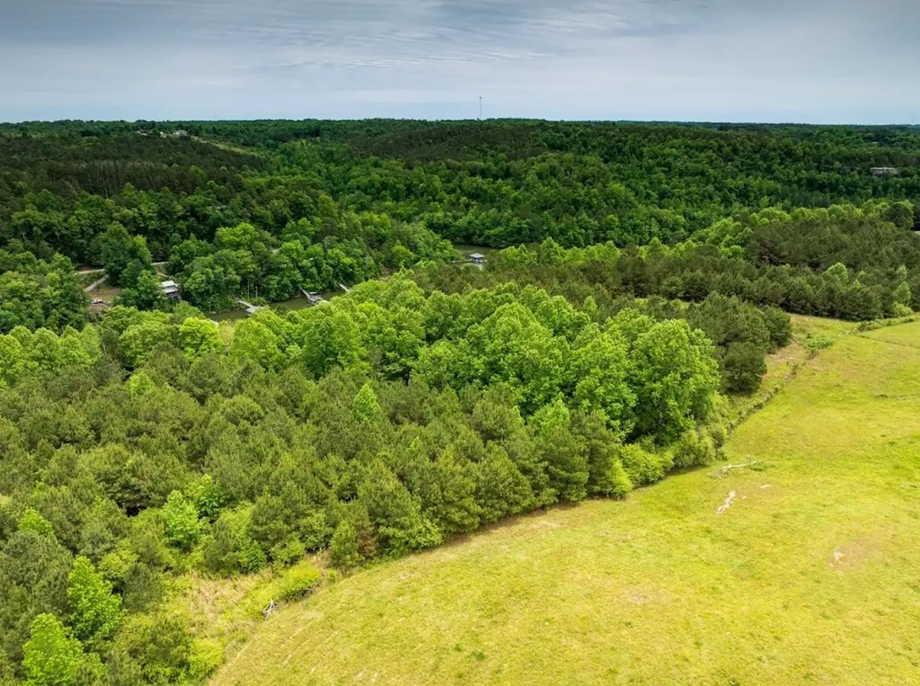0 Lakeside Drive Arley AL 35541