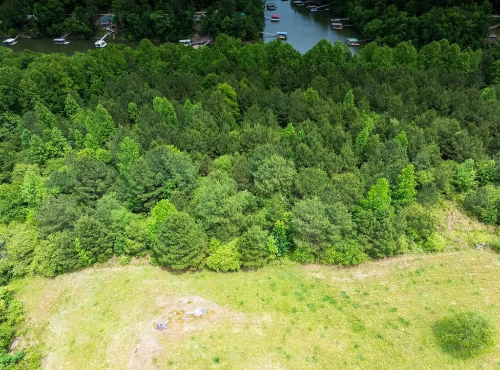 0 Lakeside Drive Arley AL 35541