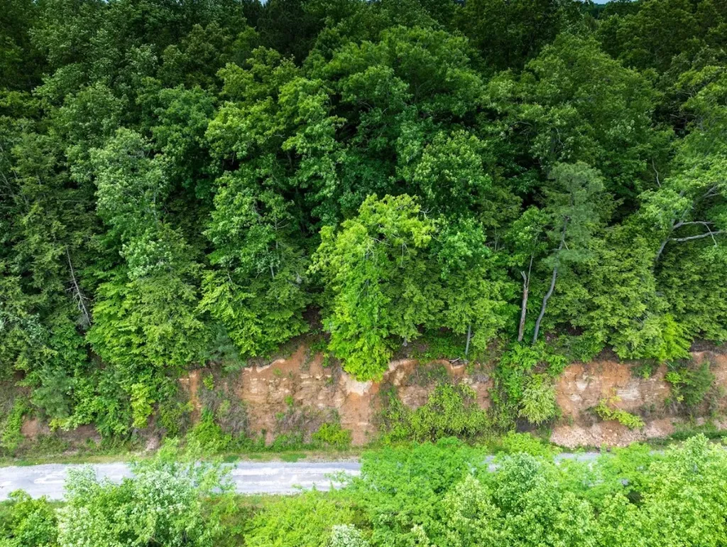 0 Lakeside Drive Arley AL 35541