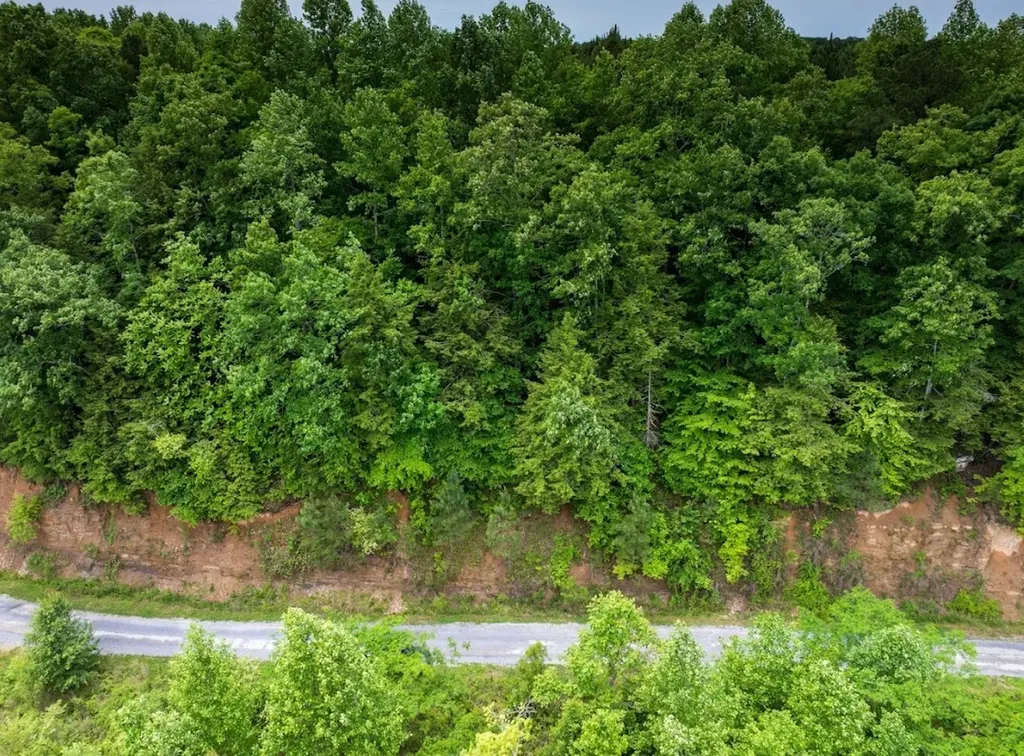 0 Lakeside Drive Arley AL 35541