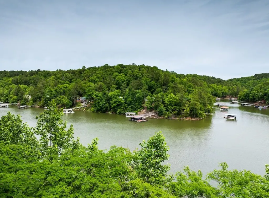 0 Lakeside Drive Arley AL 35541