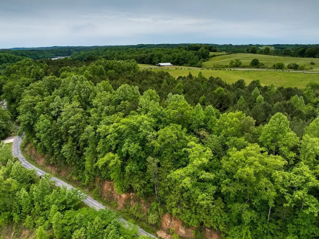 0 Lakeside Drive Arley AL 35541