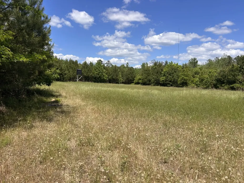 0 County Road 1101 County Road 1101 Shady Grove AL 36035