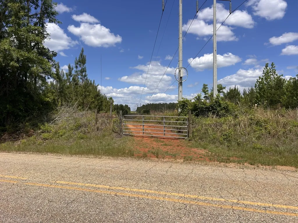 0 County Road 1101 County Road 1101 Shady Grove AL 36035
