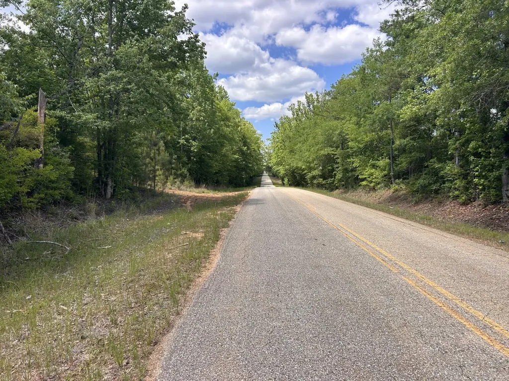 0 County Road 1101 County Road 1101 Shady Grove AL 36035