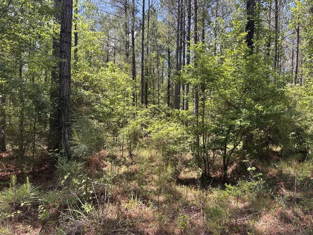 0 County Road 1101 County Road 1101 Shady Grove AL 36035