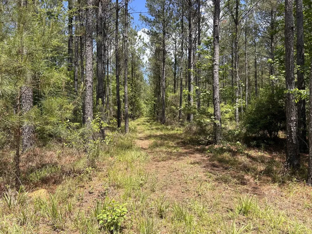 0 County Road 1101 County Road 1101 Shady Grove AL 36035