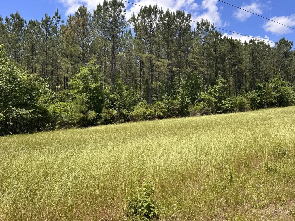0 County Road 1101 County Road 1101 Shady Grove AL 36035