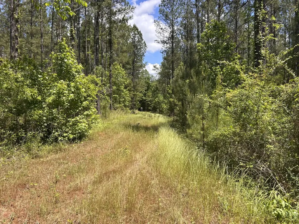 0 County Road 1101 County Road 1101 Shady Grove AL 36035