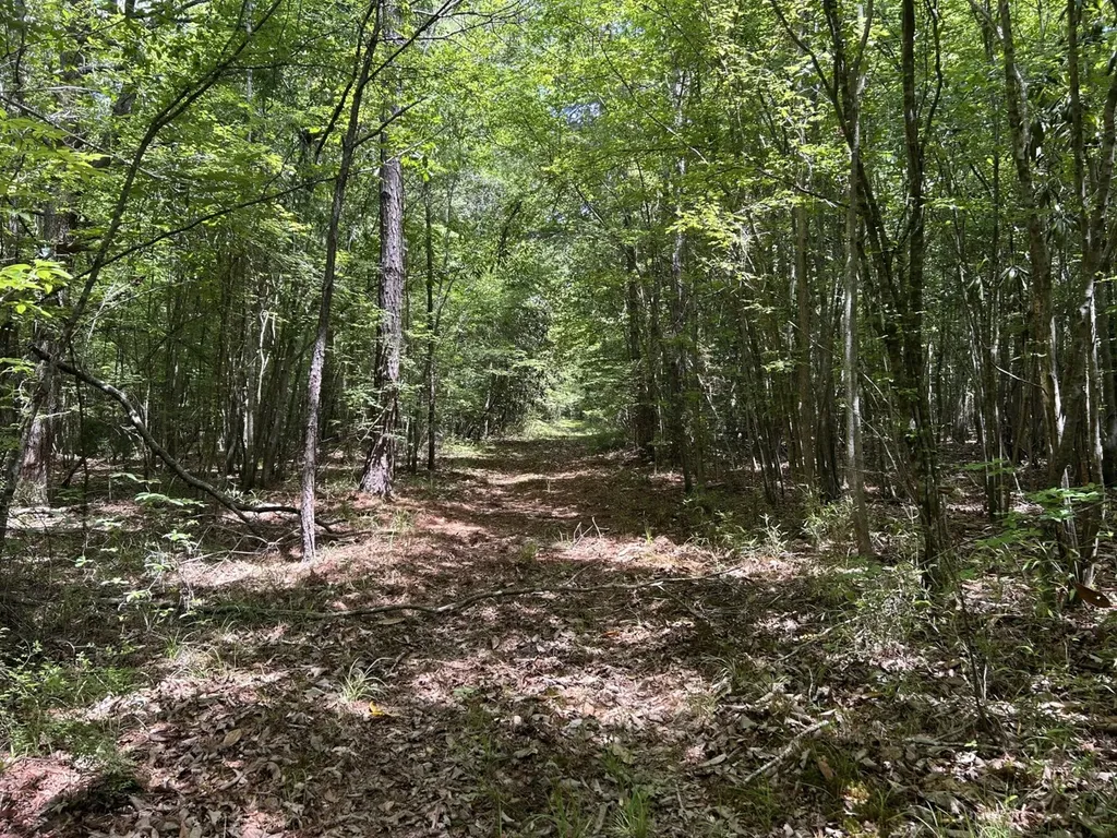 0 County Road 1101 County Road 1101 Shady Grove AL 36035