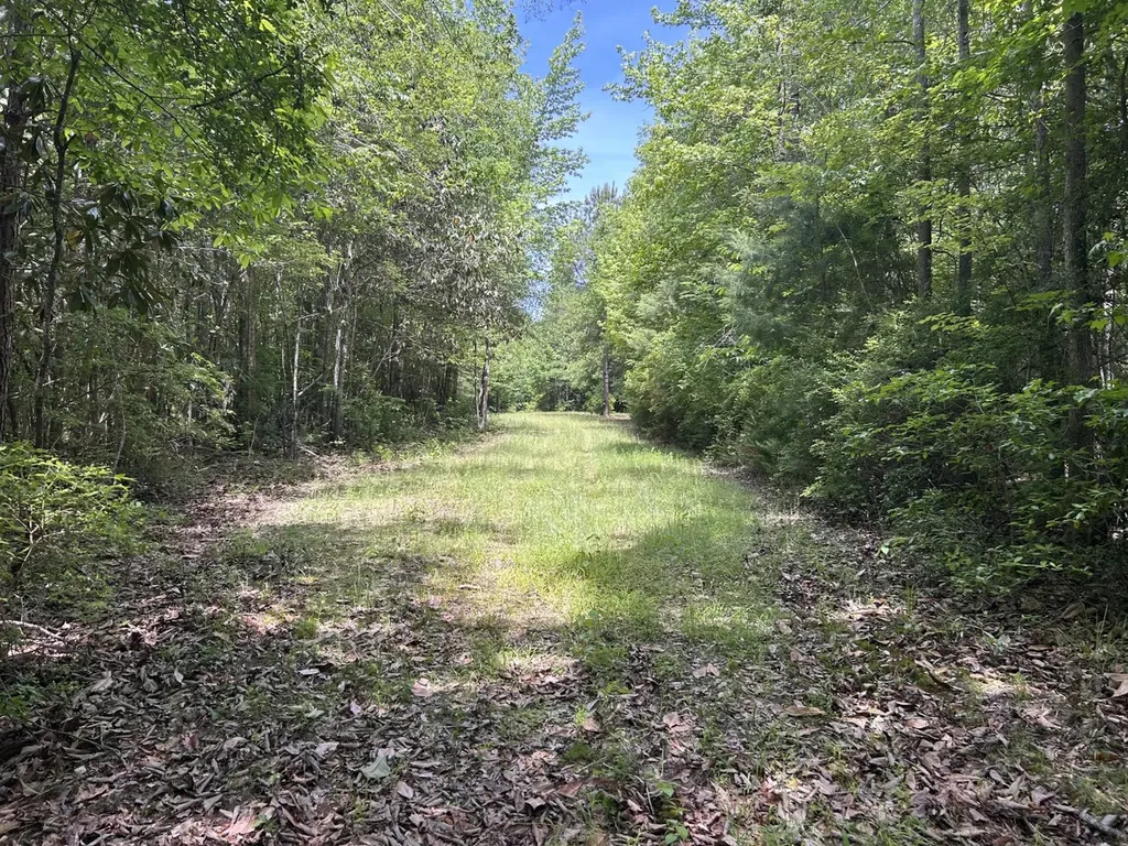 0 County Road 1101 County Road 1101 Shady Grove AL 36035
