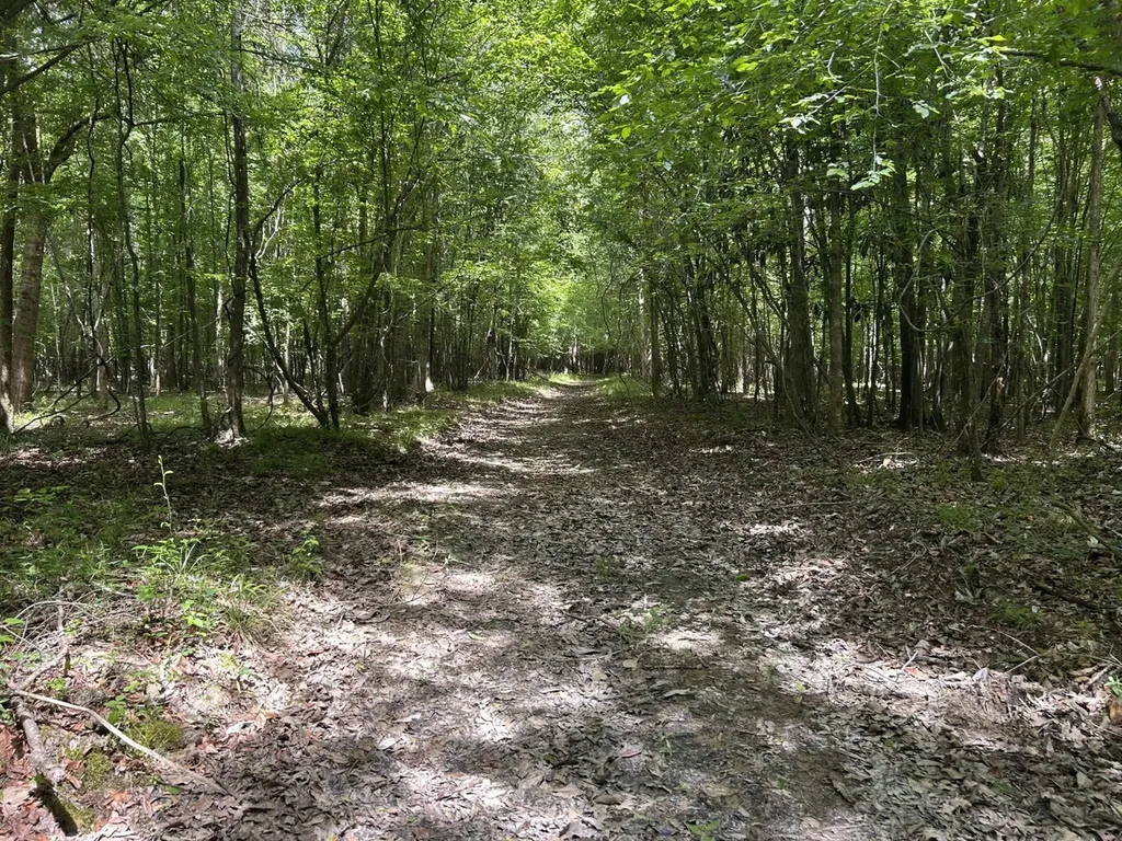 0 County Road 1101 County Road 1101 Shady Grove AL 36035