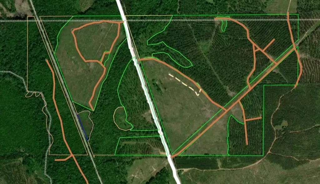 0 County Road 1101 County Road 1101 Shady Grove AL 36035