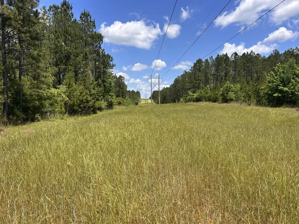 0 County Road 1101 County Road 1101 Shady Grove AL 36035