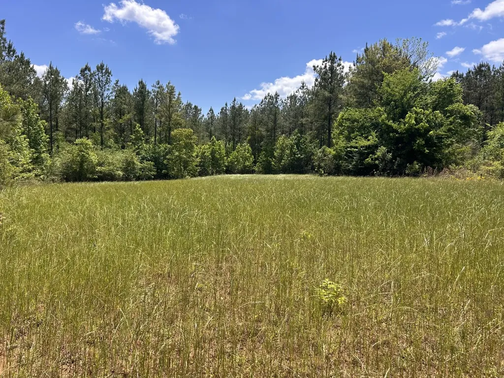 0 County Road 1101 County Road 1101 Shady Grove AL 36035