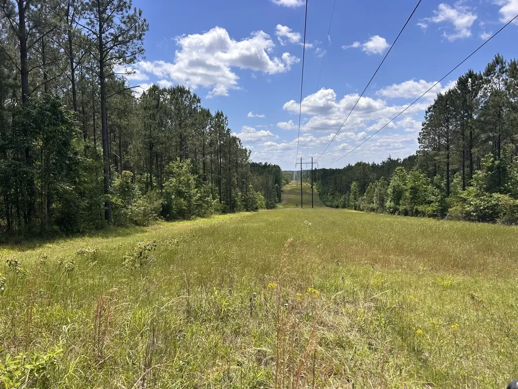 0 County Road 1101 County Road 1101 Shady Grove AL 36035