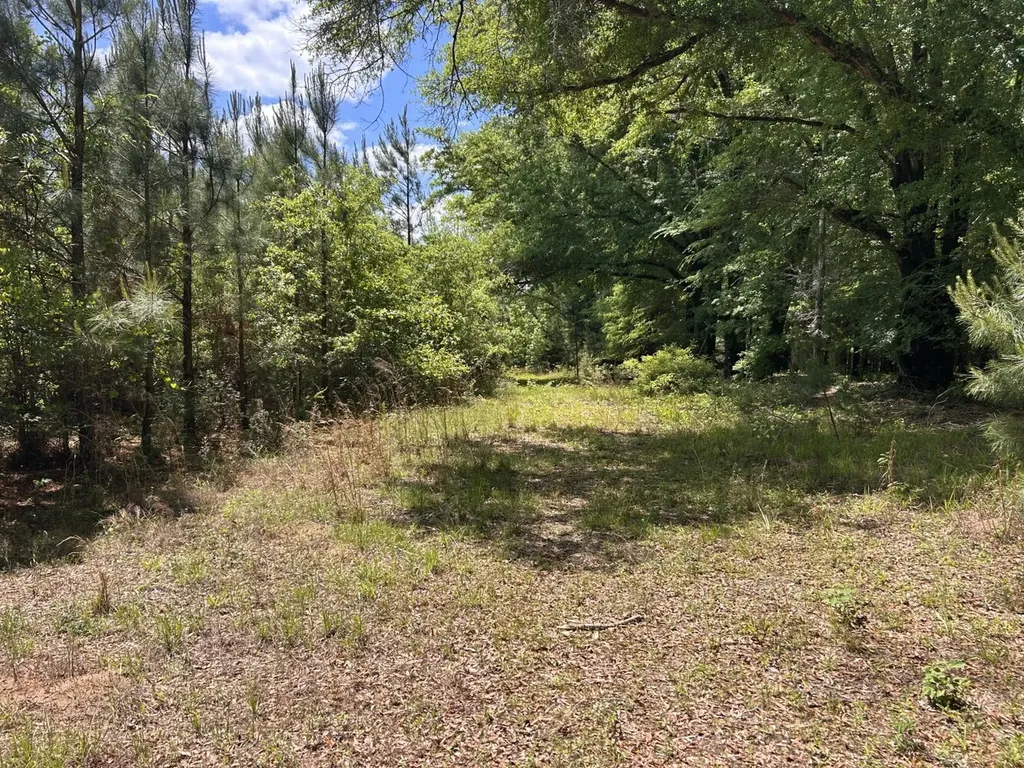 0 County Road 1101 County Road 1101 Shady Grove AL 36035