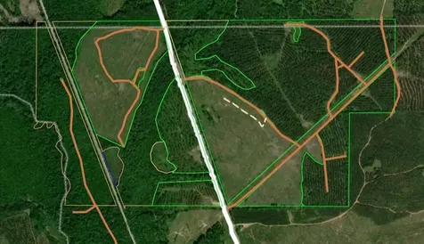 0 County Road 1101 County Road 1101 Shady Grove AL 36035