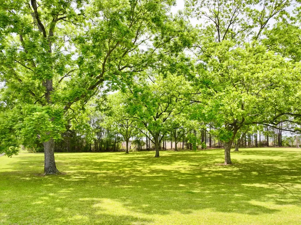 12601 Highway 43 Grove Hill AL 36451