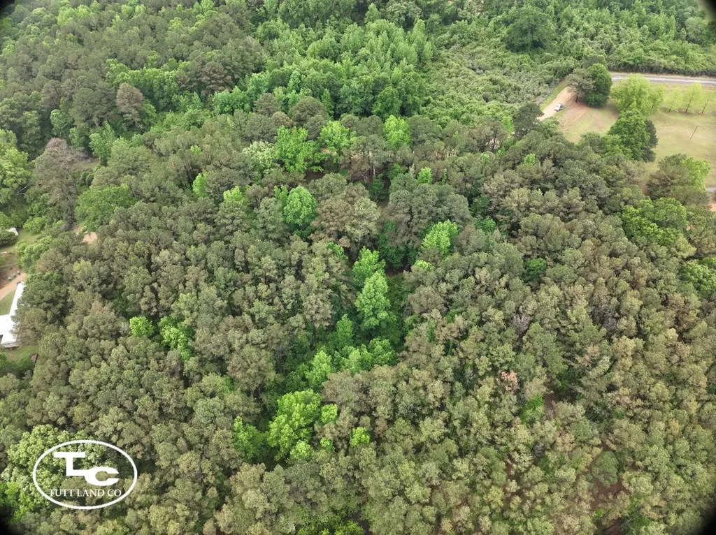 Tbd Jim Essary Road Northport AL 35475
