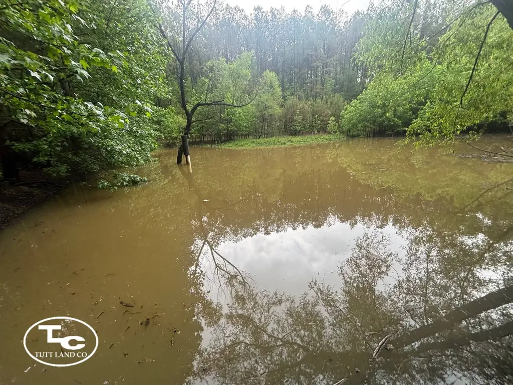 Tbd Jim Essary Road Northport AL 35475
