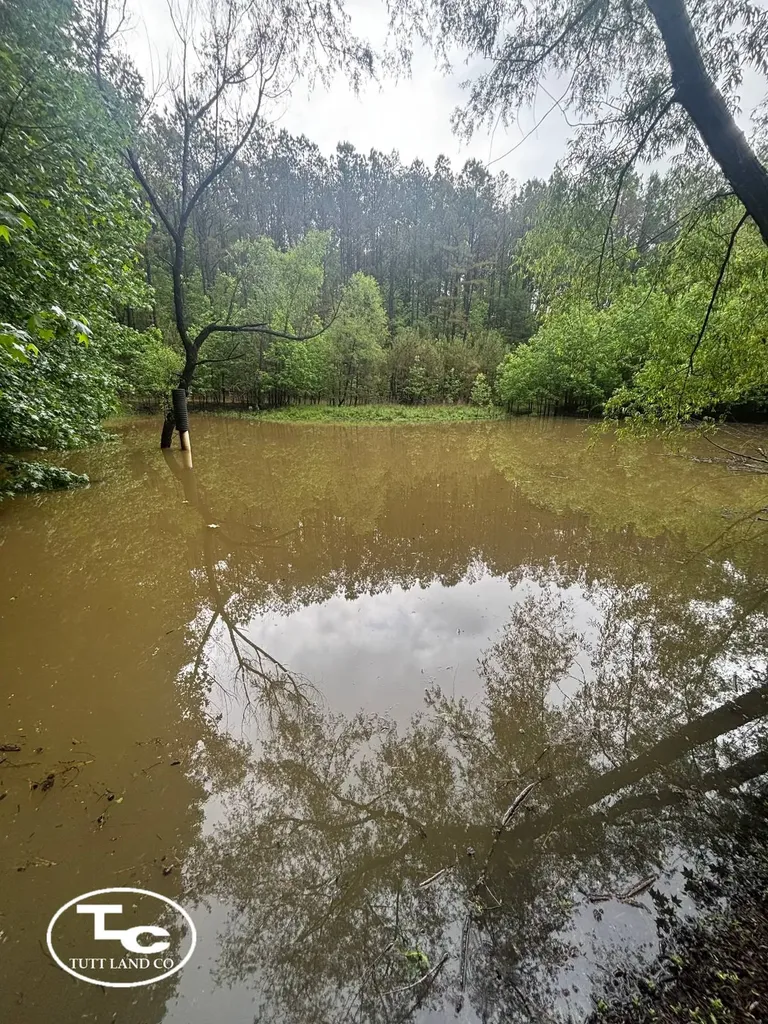 Tbd Jim Essary Road Northport AL 35475
