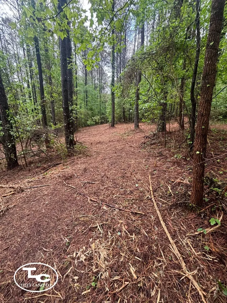 Tbd Jim Essary Road Northport AL 35475